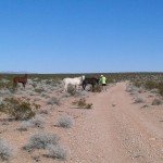 150874_10151295376527659_148849559_n