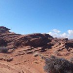 1614520_10152179677147324_452446686_o