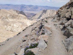 One of the 99 switchbacks