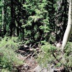 And this was the easy section.