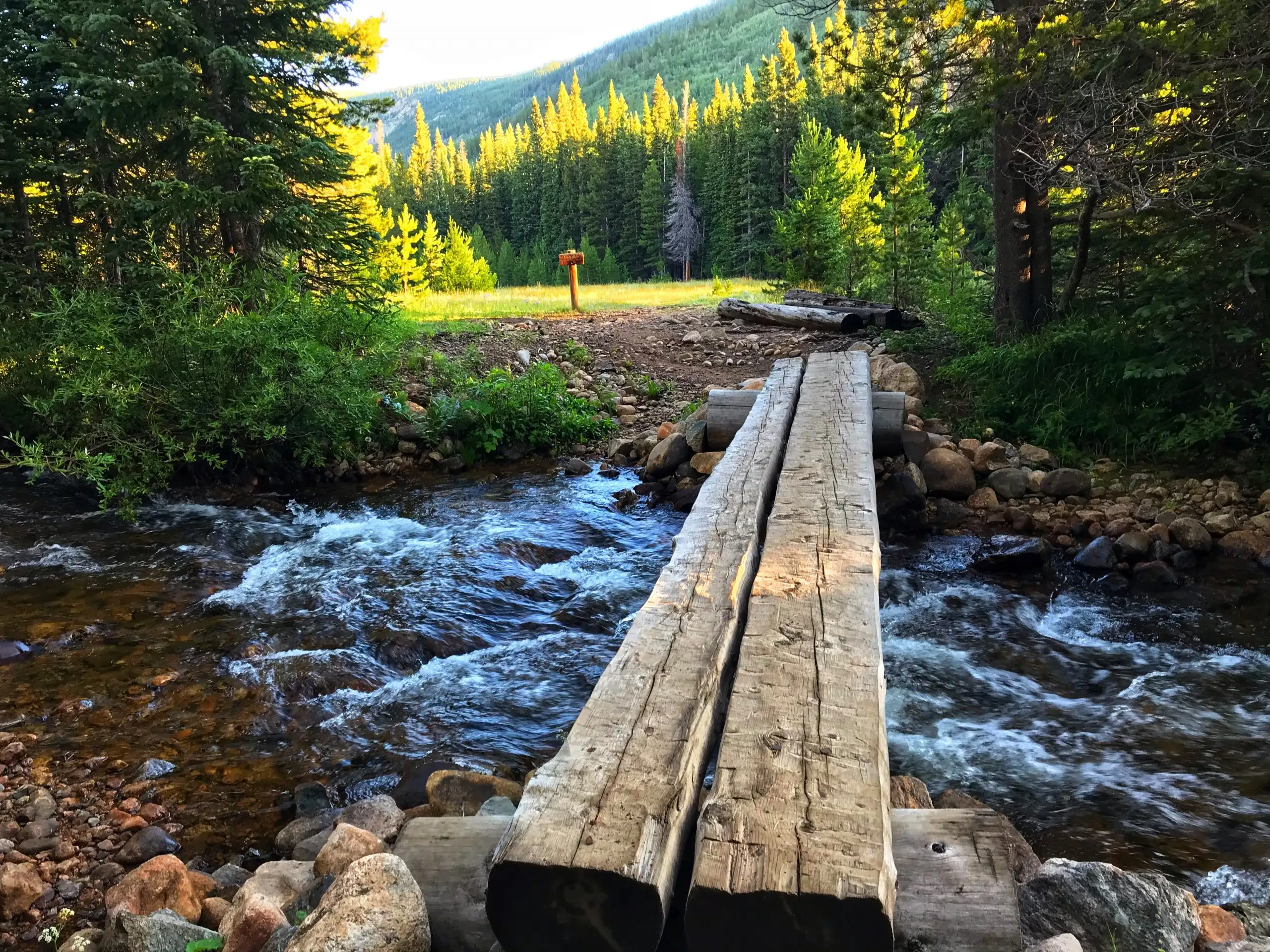 log bridge