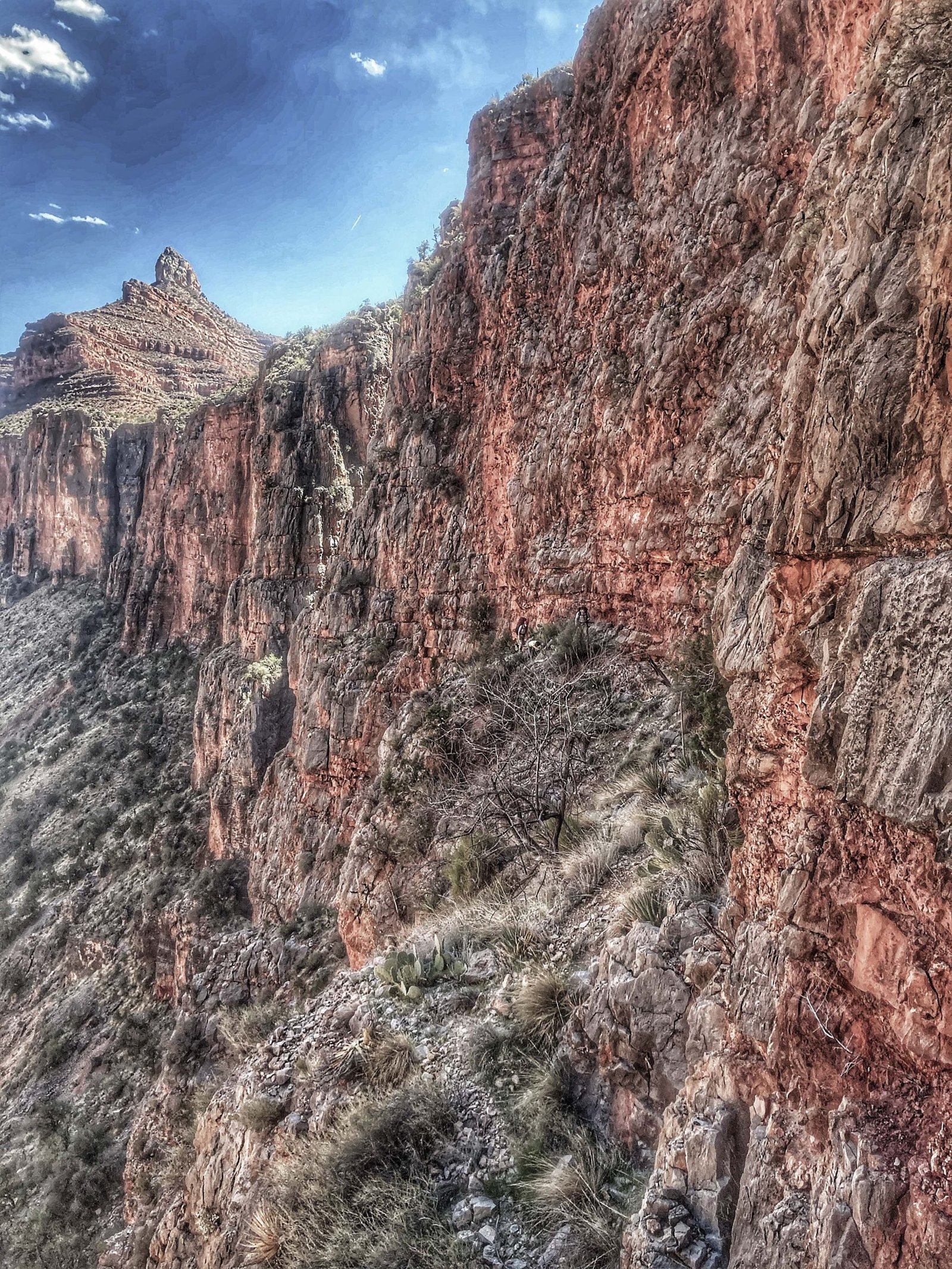 scrambling across the redwall