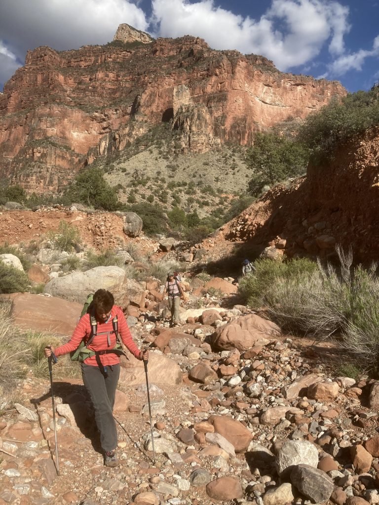 on the canyon floor