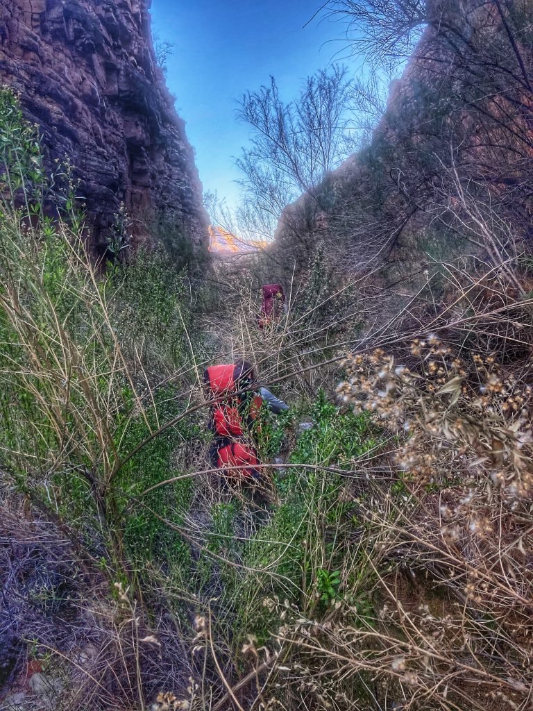bushwhacking Dragon Creek