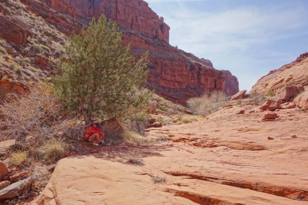 Chilling in the shade of fools canyon