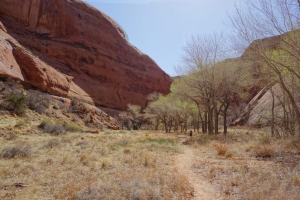 DSC00176