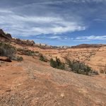looking up stevens canyon