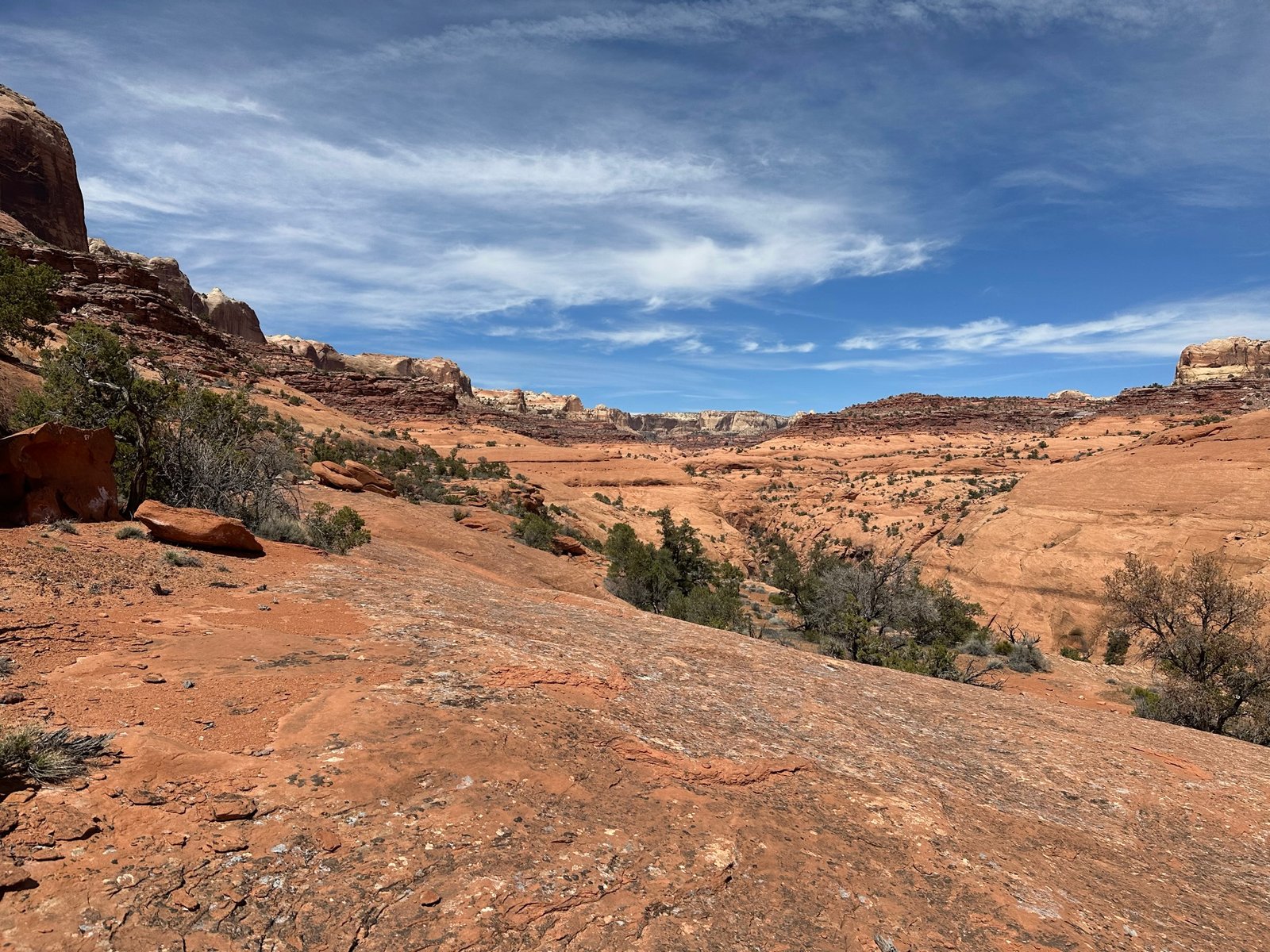 looking up stevens canyon