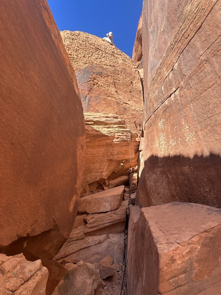 IMG_0991