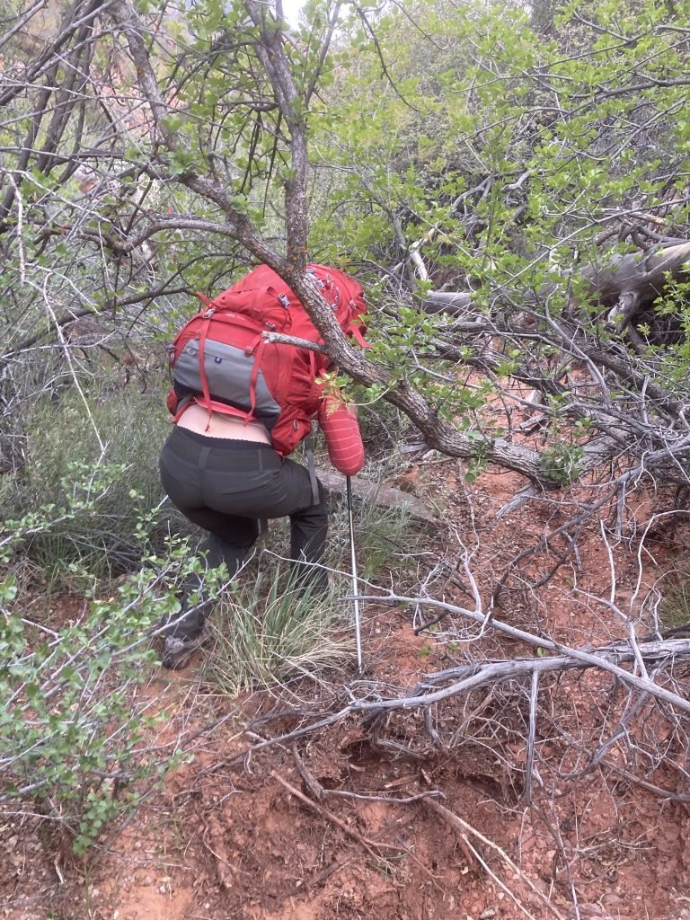 bushwacking