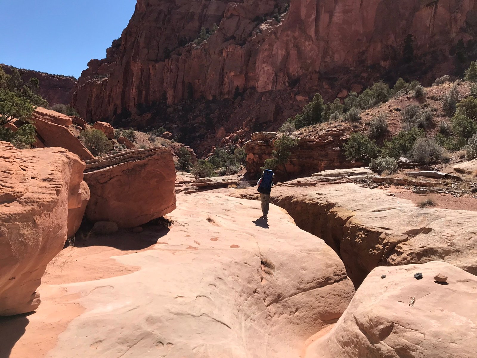 hiking in spring canyon