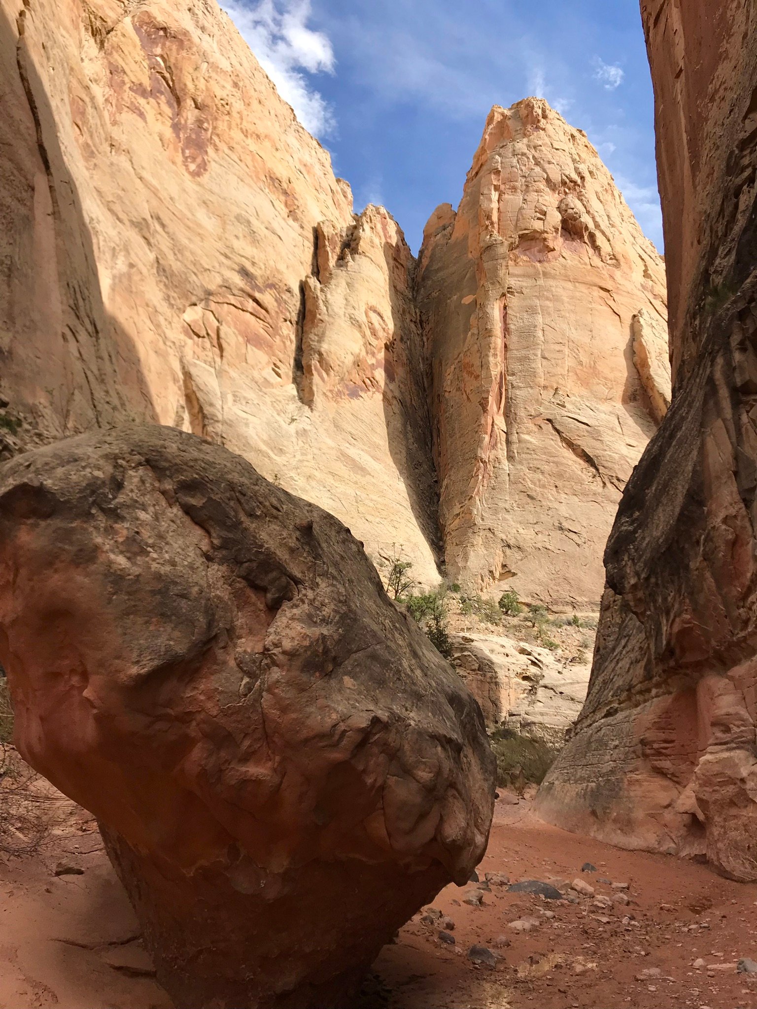 IMG_8386 big rock