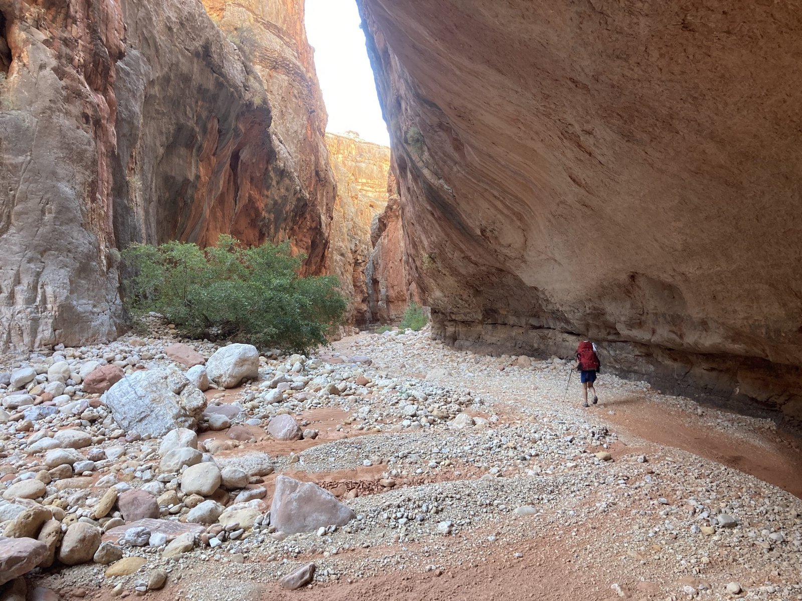 dwarfed by the canyon walls