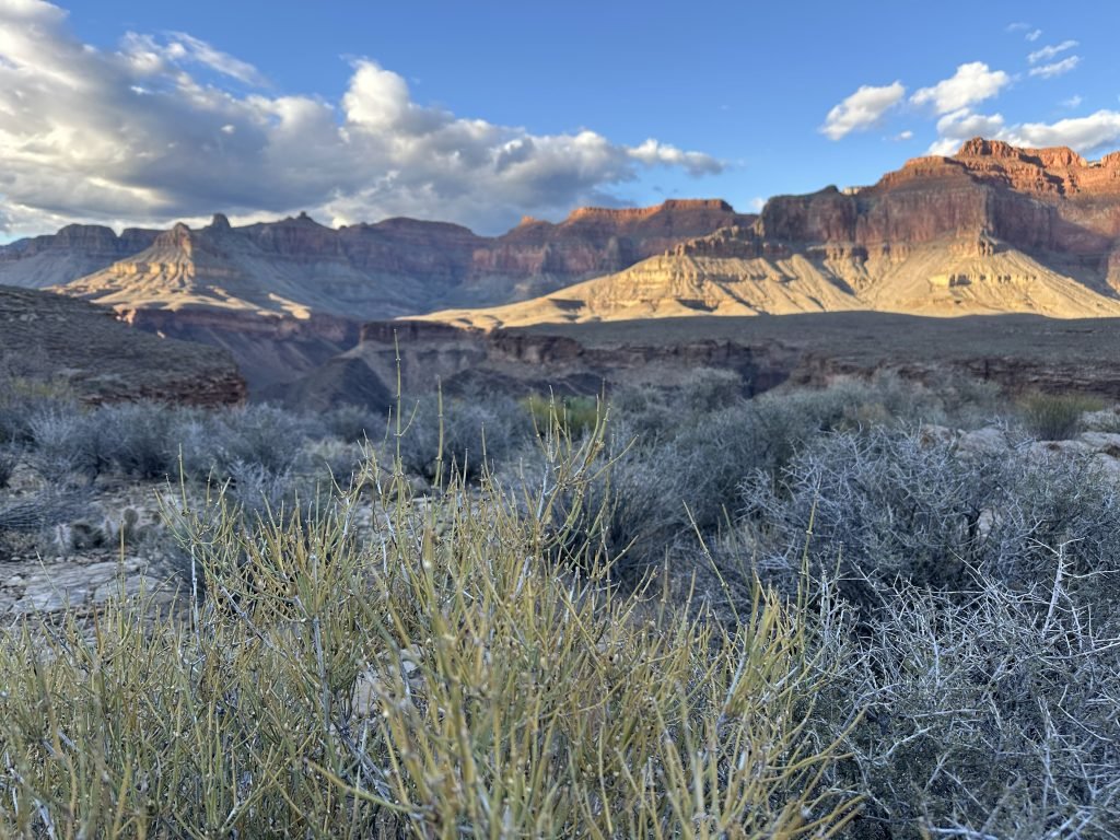 grand canyon gems view