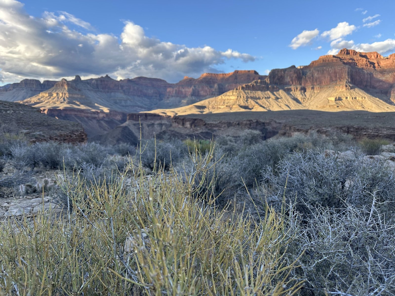 grand canyon gems view