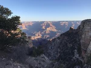 IMG 6517