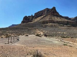 IMG 6543