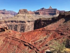IMG 6546