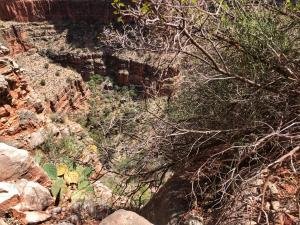 IMG 6579