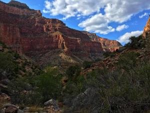 IMG 6594