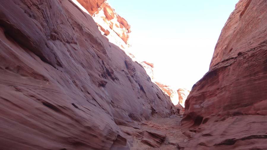 1537519_10152179672427324_1572624048_o