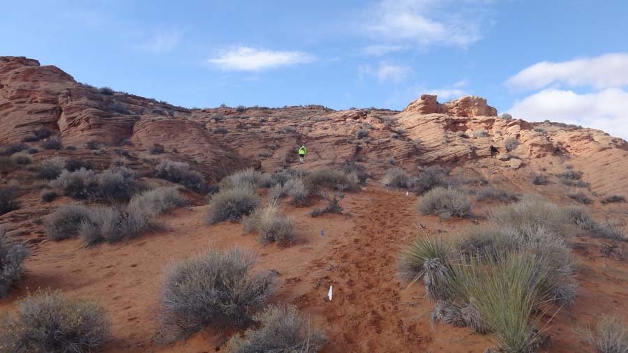 1537996_10152179669902324_2087088095_o