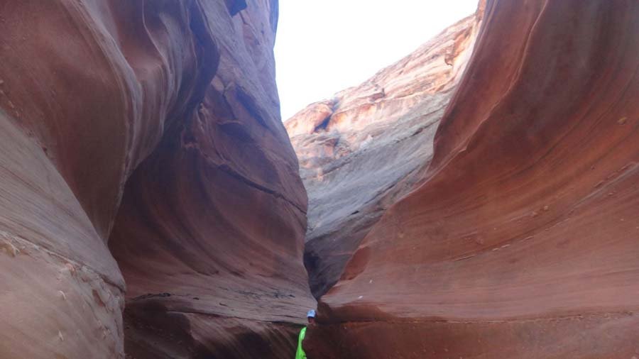 1540473_10152179669952324_1039579011_o