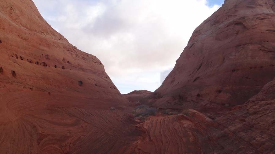 1617665_10152179675117324_838094134_o