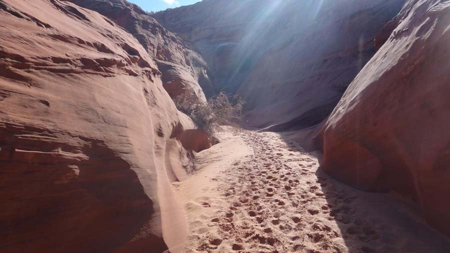 1799037_10152179681582324_990704490_o