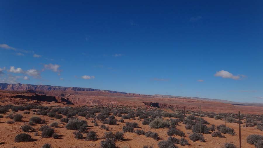 1799096_10152179680772324_1825123341_o