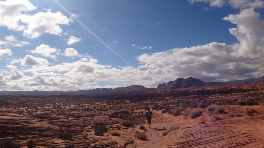 1890598_10152179680037324_1766539796_o