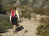 img_1481-copy