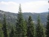 img_3577