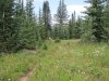 img_3908