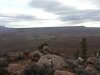 smithmesa_6