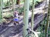 trrun_03_m_0917-zf-10334-79479-1-001-003