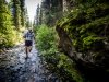 trrun_04_t_0309-zf-10334-79479-1-001-005b