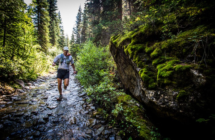 trrun_04_t_0309-zf-10334-79479-1-001-005b