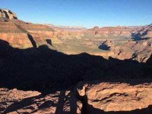IMG 0474