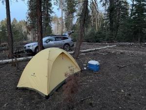 IMG 0987