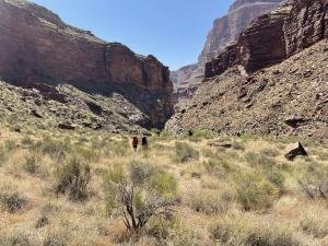 IMG 1043