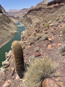 IMG 1062