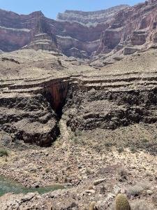 IMG 1063