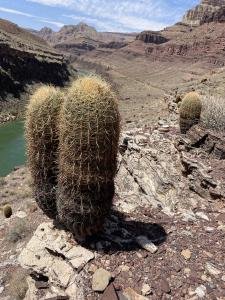 IMG 1064