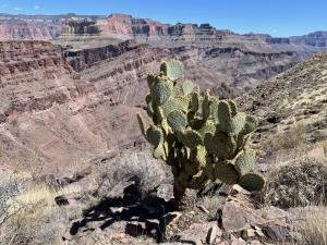 IMG 1126