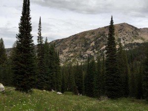 IMG 1616 (1)