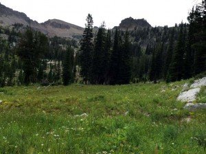 IMG 1618 (1)