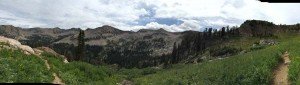 IMG 1626 (1)