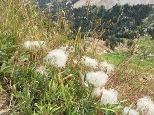 IMG 1632 (1)