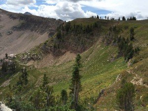 IMG 1633 (1)